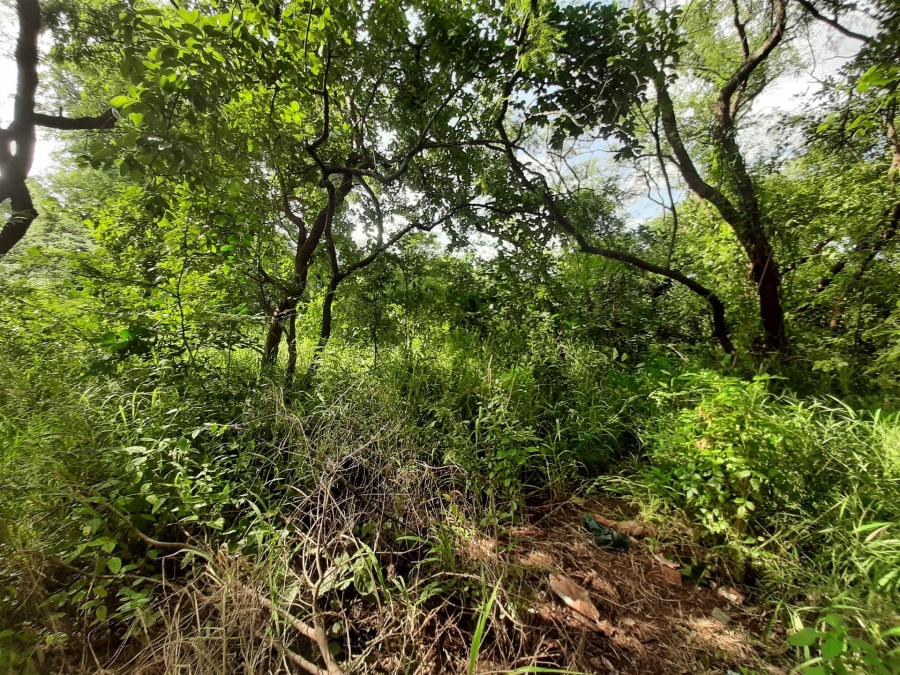 0 Bedroom Property for Sale in Gravelotte Limpopo
