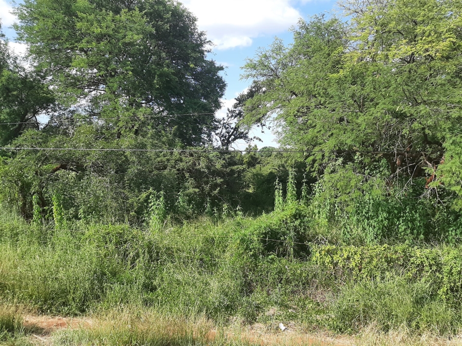 0 Bedroom Property for Sale in Gravelotte Limpopo