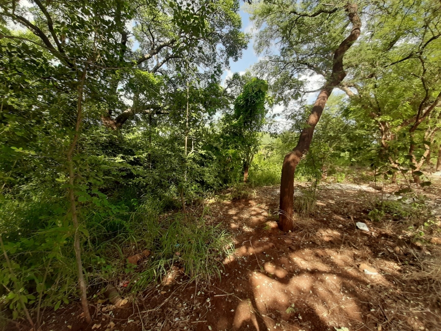 0 Bedroom Property for Sale in Gravelotte Limpopo