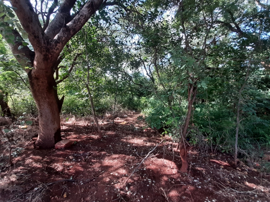 0 Bedroom Property for Sale in Gravelotte Limpopo