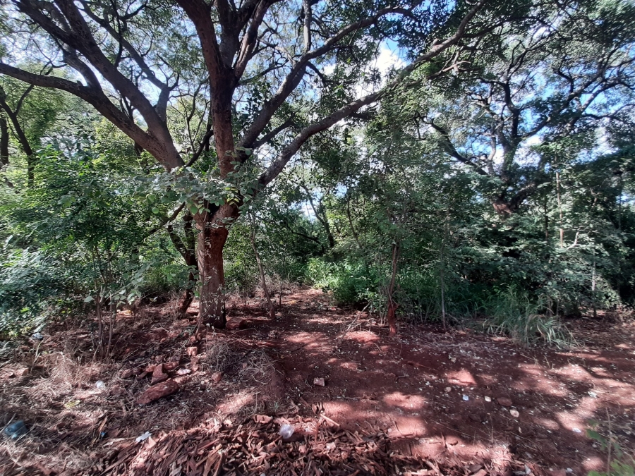 0 Bedroom Property for Sale in Gravelotte Limpopo