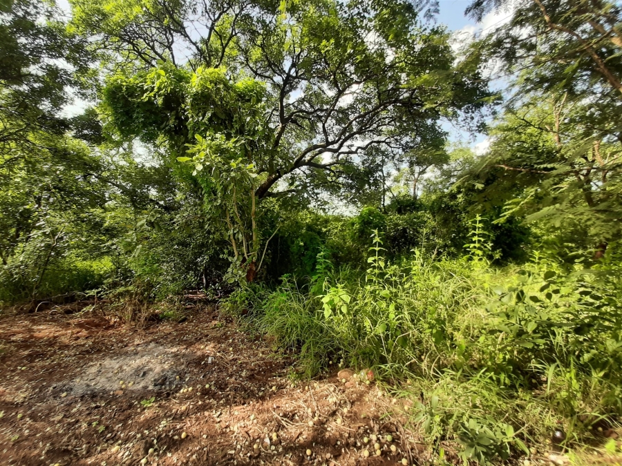 0 Bedroom Property for Sale in Gravelotte Limpopo