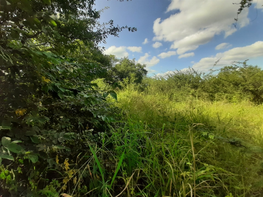 0 Bedroom Property for Sale in Gravelotte Limpopo