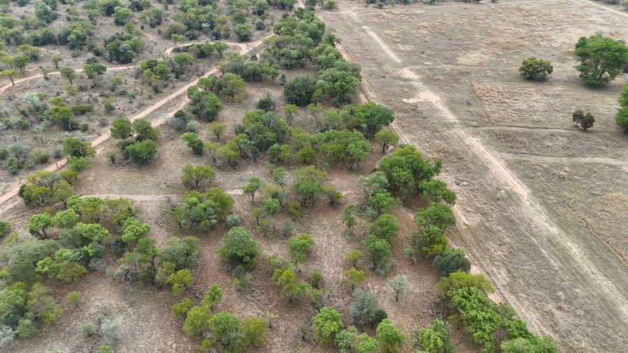 6 Bedroom Property for Sale in Bela Bela Limpopo