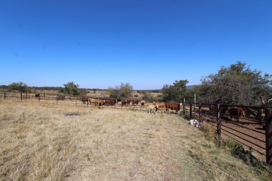 6 Bedroom Property for Sale in Modimolle Limpopo