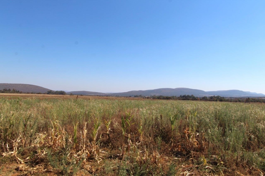 6 Bedroom Property for Sale in Modimolle Limpopo