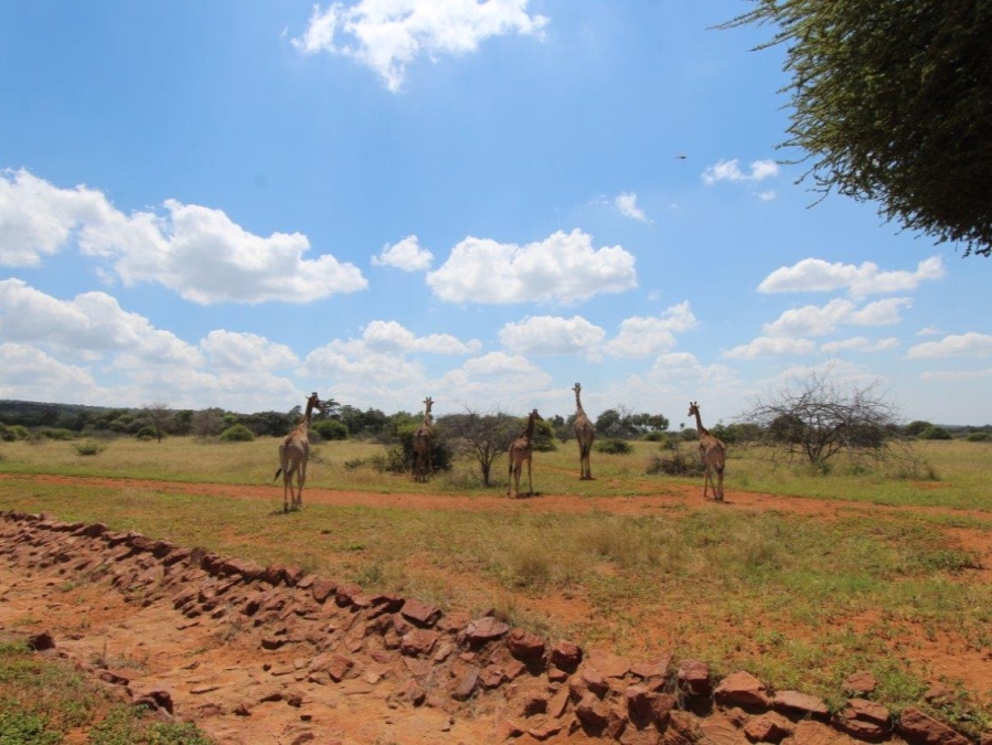 10 Bedroom Property for Sale in Modimolle Limpopo