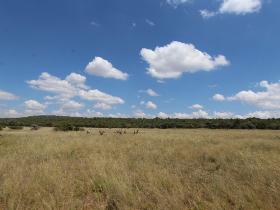 10 Bedroom Property for Sale in Modimolle Limpopo