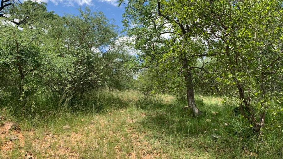 0 Bedroom Property for Sale in Elephant Rock Eco Estate Limpopo