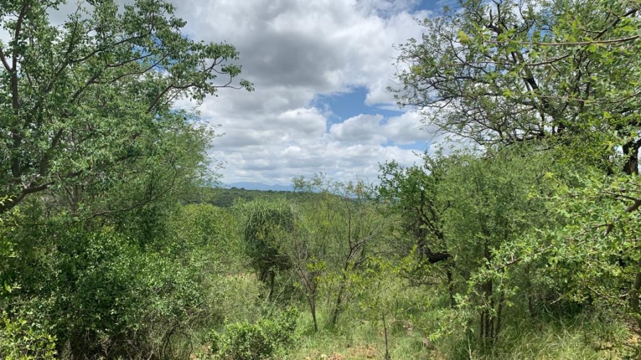 0 Bedroom Property for Sale in Elephant Rock Eco Estate Limpopo