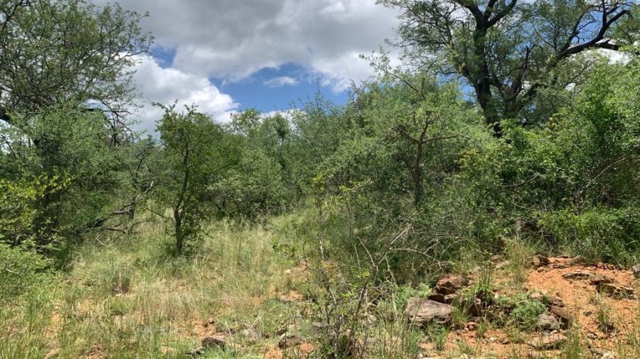 0 Bedroom Property for Sale in Elephant Rock Eco Estate Limpopo