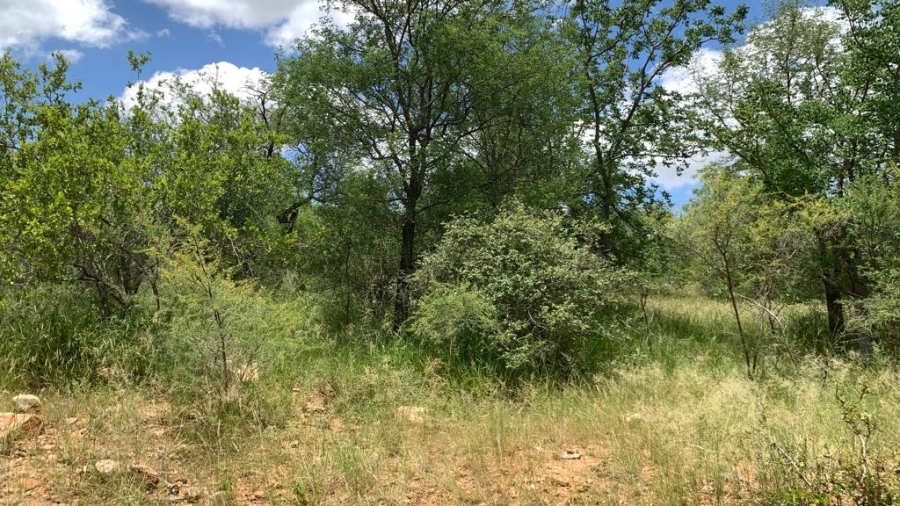 0 Bedroom Property for Sale in Elephant Rock Eco Estate Limpopo