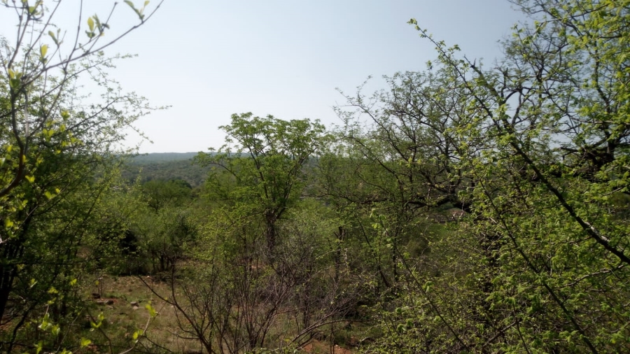 0 Bedroom Property for Sale in Elephant Rock Eco Estate Limpopo