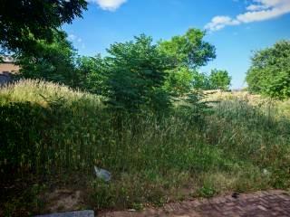 0 Bedroom Property for Sale in Burgersfort Limpopo