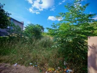 0 Bedroom Property for Sale in Burgersfort Limpopo