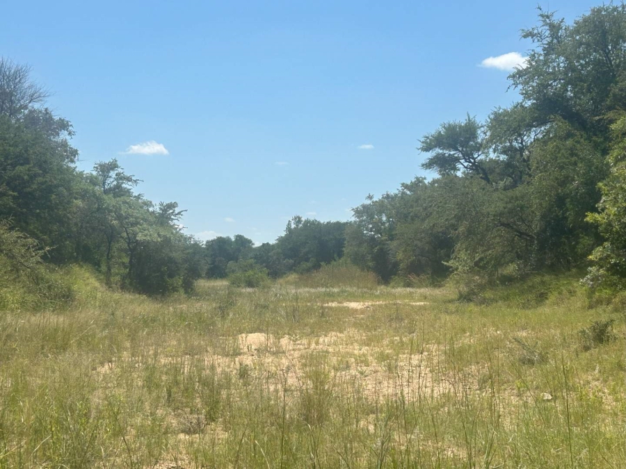 0 Bedroom Property for Sale in Moditlo Nature Reserve Limpopo