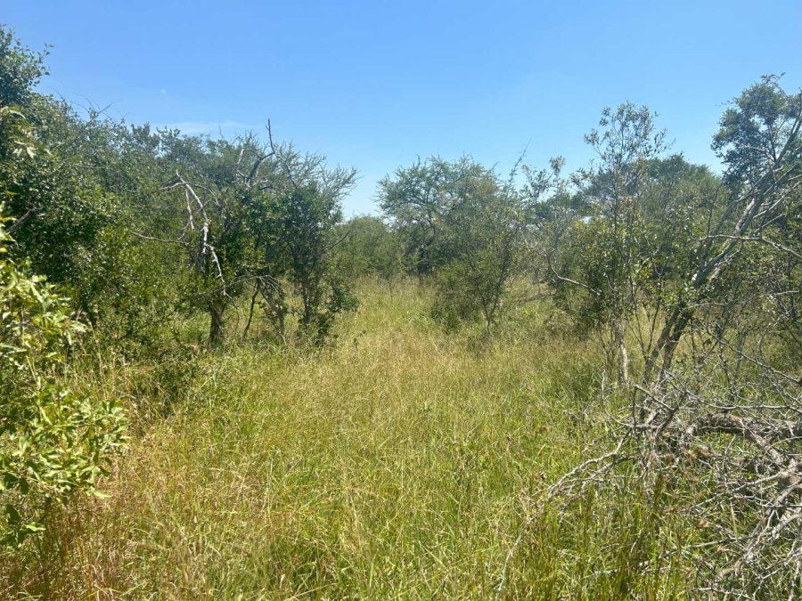 0 Bedroom Property for Sale in Moditlo Nature Reserve Limpopo