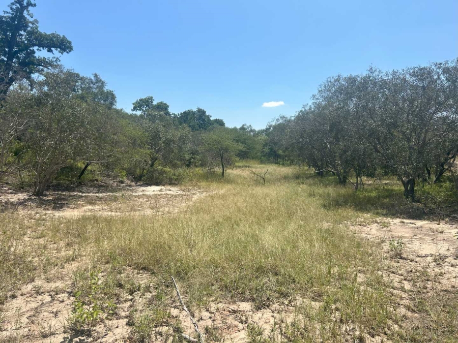 0 Bedroom Property for Sale in Moditlo Nature Reserve Limpopo