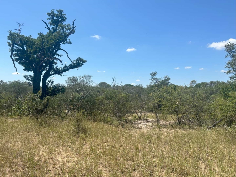 0 Bedroom Property for Sale in Moditlo Nature Reserve Limpopo