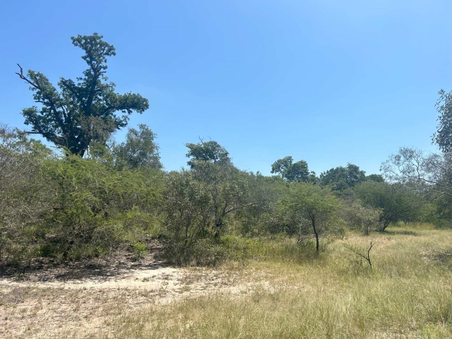 0 Bedroom Property for Sale in Moditlo Nature Reserve Limpopo