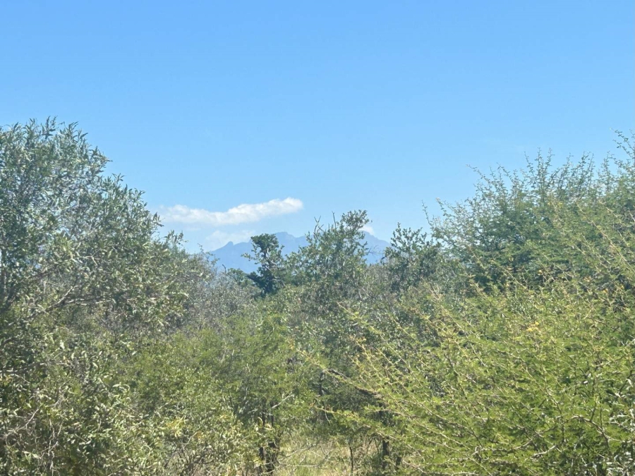 0 Bedroom Property for Sale in Moditlo Nature Reserve Limpopo