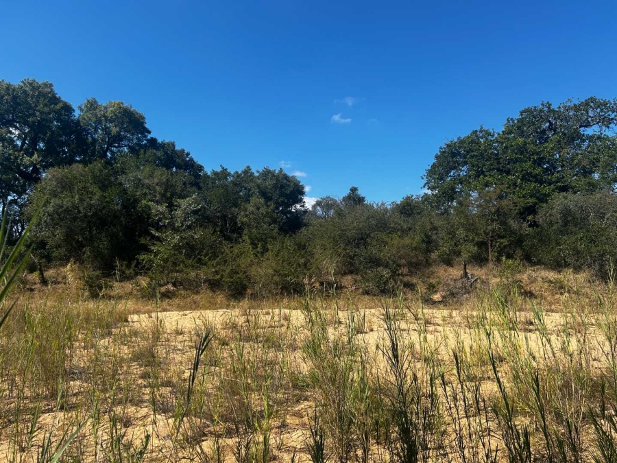 0 Bedroom Property for Sale in Moditlo Nature Reserve Limpopo