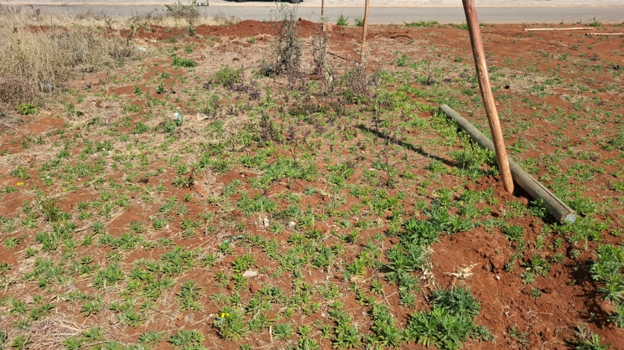 Commercial Property for Sale in Serala View Limpopo