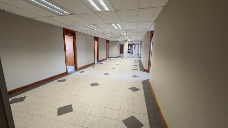 To Let commercial Property for Rent in Polokwane Central Limpopo