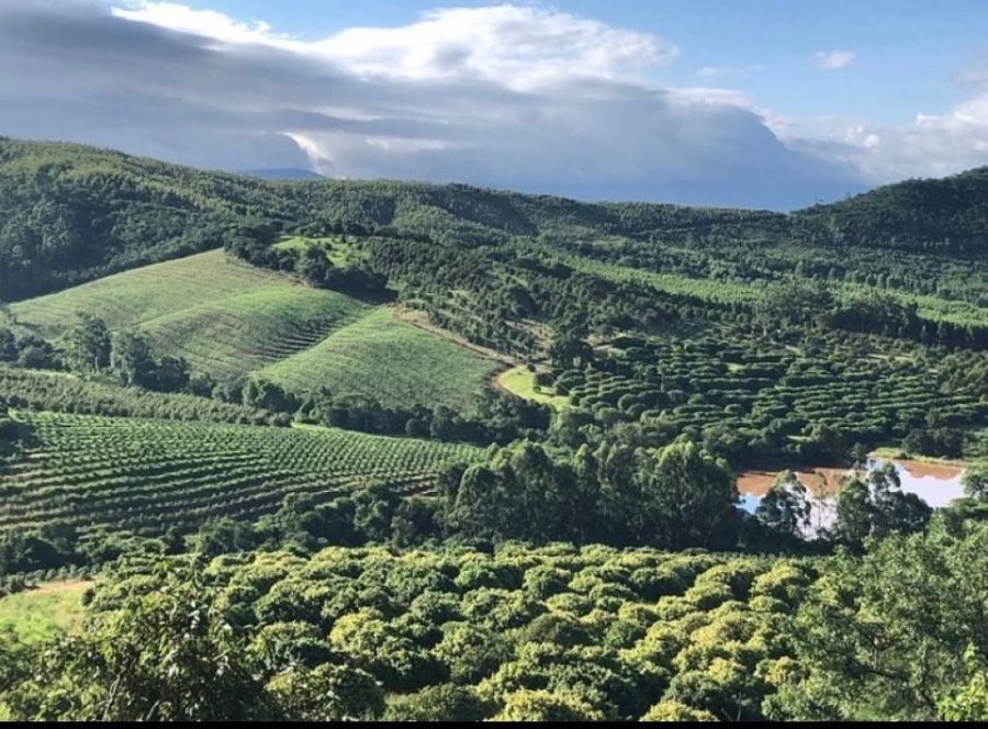 Commercial Property for Sale in Politsi Limpopo