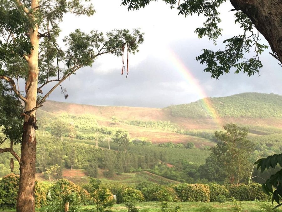 Commercial Property for Sale in Politsi Limpopo