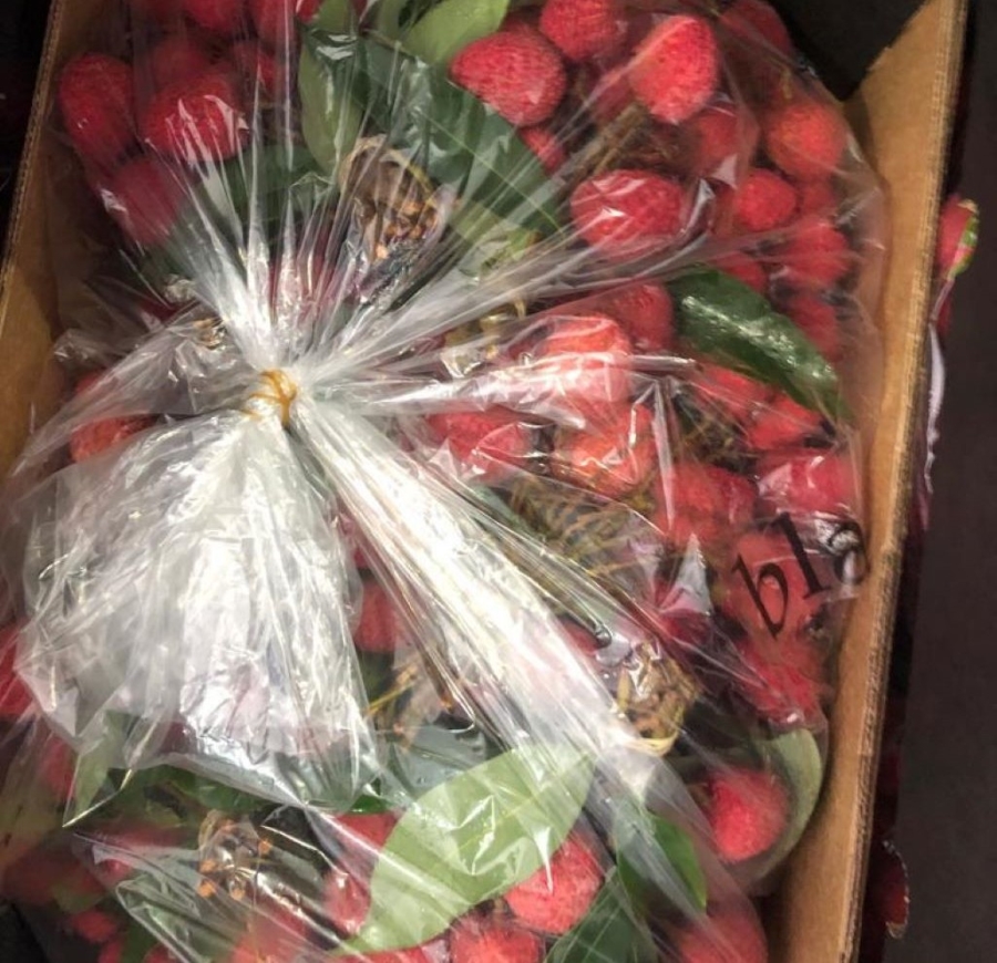 Commercial Property for Sale in Politsi Limpopo