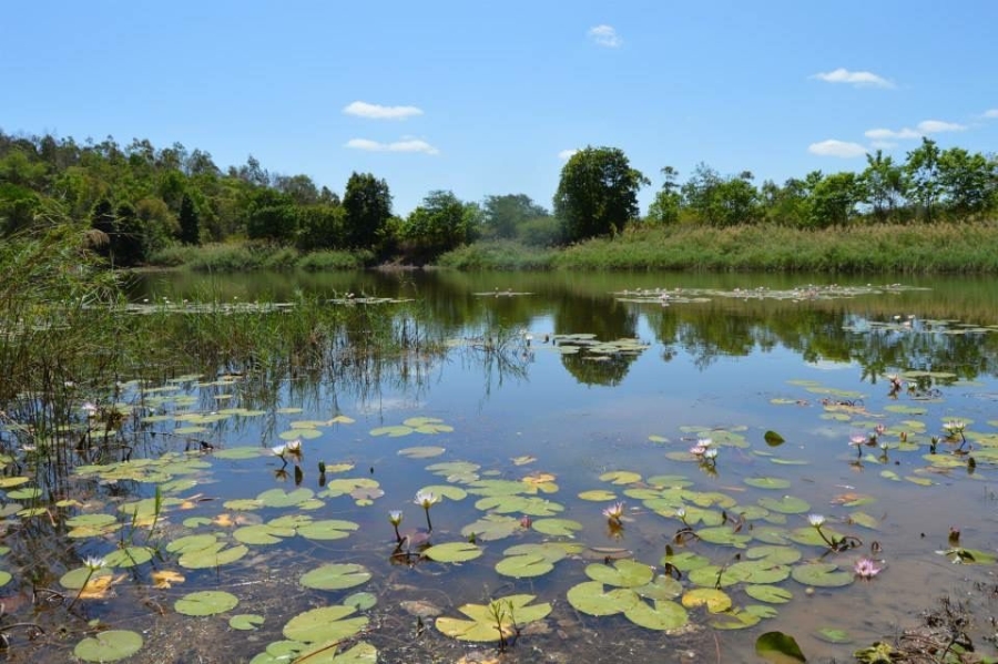 Commercial Property for Sale in Politsi Limpopo