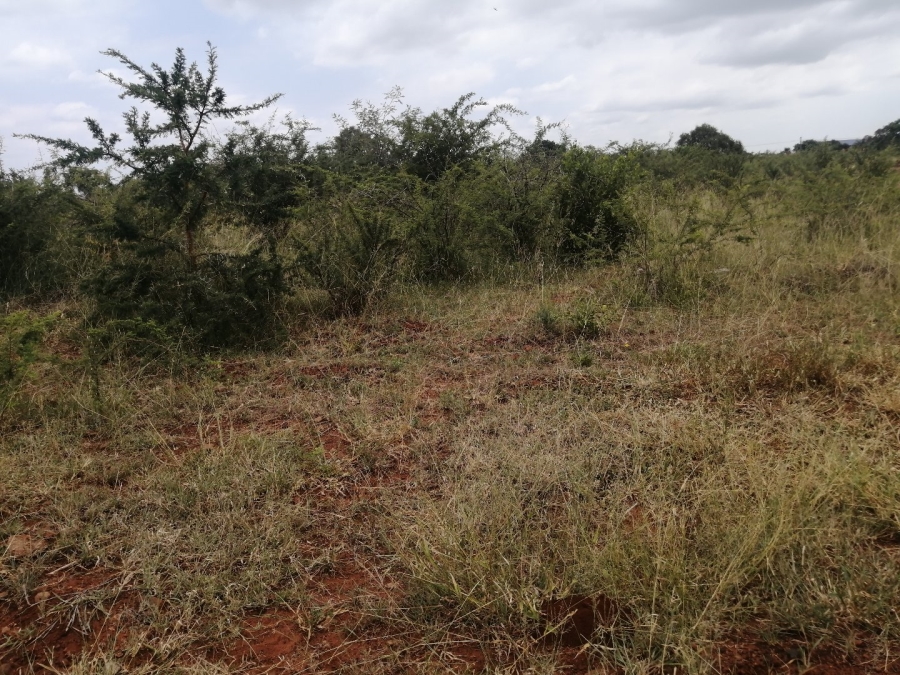 Commercial Property for Sale in Polokwane Rural Limpopo