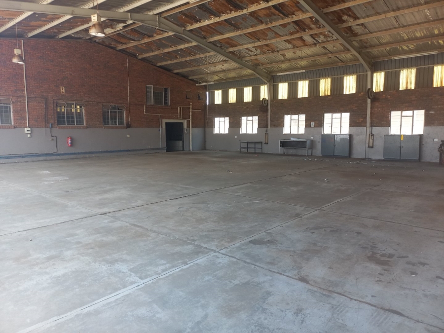 To Let commercial Property for Rent in Ladine Limpopo
