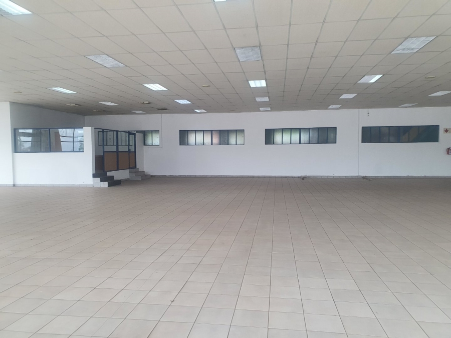 To Let commercial Property for Rent in Impala Park Limpopo