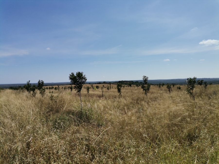 Commercial Property for Sale in Nthabiseng Limpopo