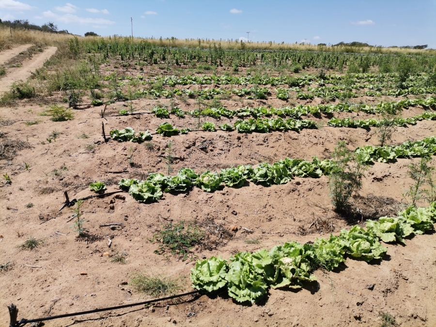 Commercial Property for Sale in Nthabiseng Limpopo