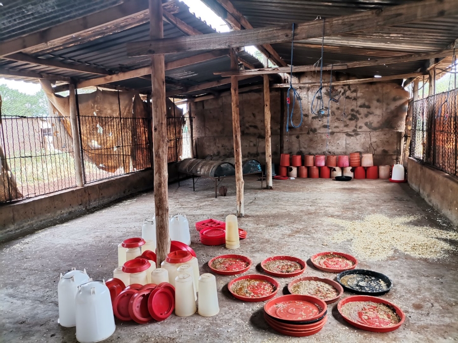 Commercial Property for Sale in Louis Trichardt Limpopo