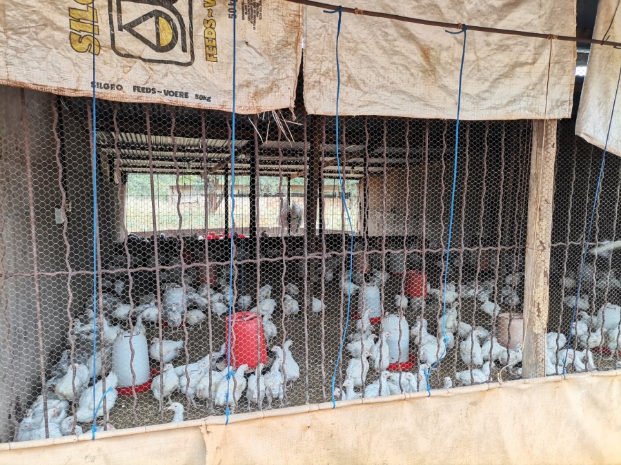 Commercial Property for Sale in Louis Trichardt Limpopo