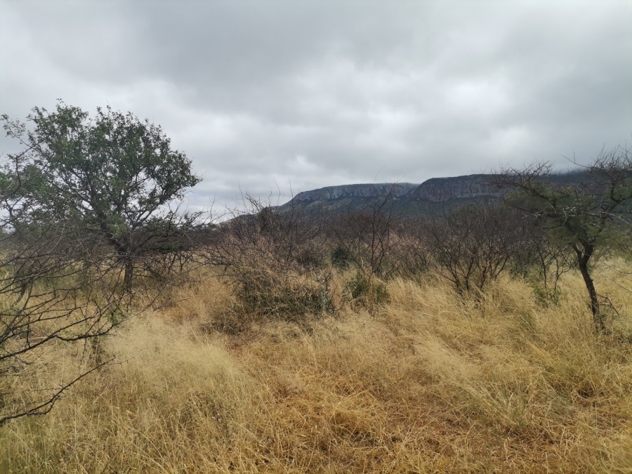 Commercial Property for Sale in Louis Trichardt Limpopo