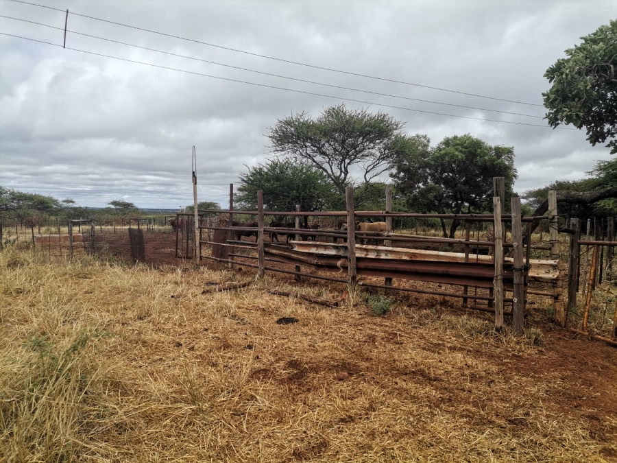 Commercial Property for Sale in Louis Trichardt Limpopo