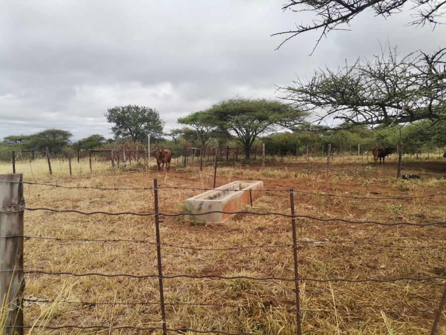 Commercial Property for Sale in Louis Trichardt Limpopo