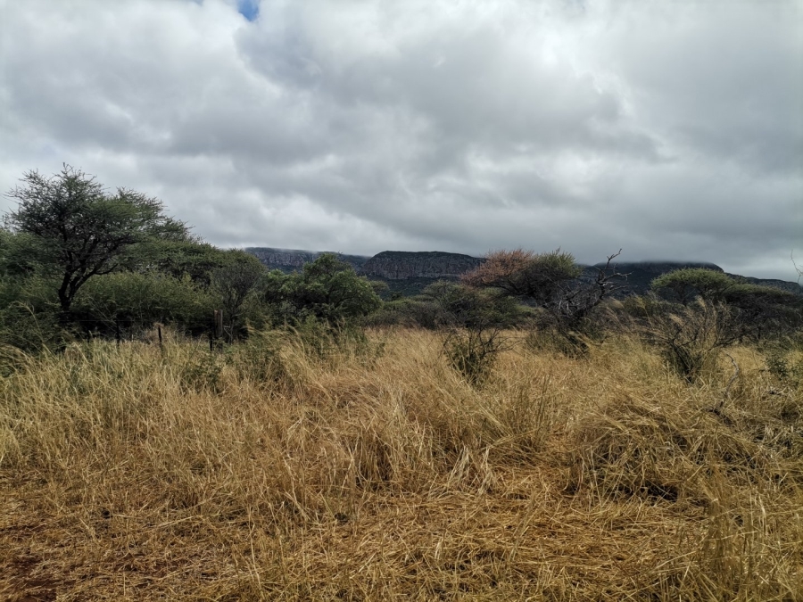 Commercial Property for Sale in Louis Trichardt Limpopo