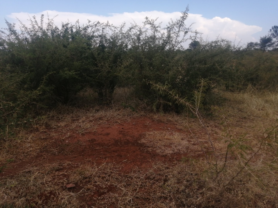 Commercial Property for Sale in Polokwane Rural Limpopo