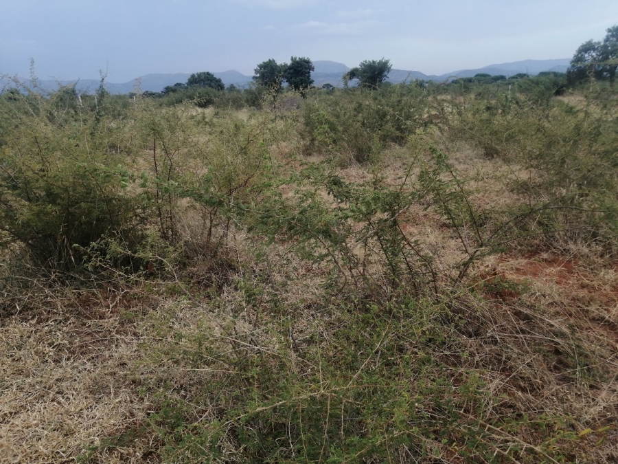 Commercial Property for Sale in Polokwane Rural Limpopo