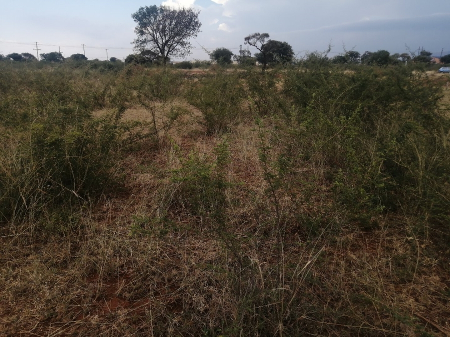 Commercial Property for Sale in Polokwane Rural Limpopo