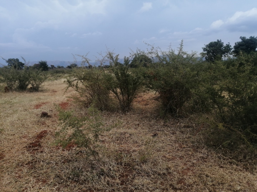 Commercial Property for Sale in Polokwane Rural Limpopo