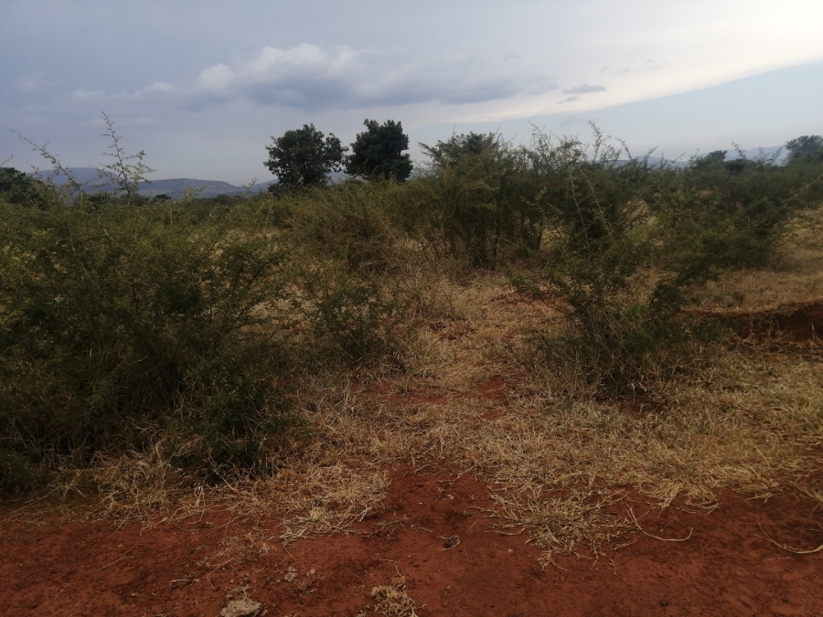Commercial Property for Sale in Polokwane Rural Limpopo