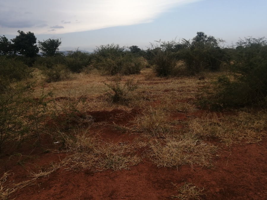 Commercial Property for Sale in Polokwane Rural Limpopo