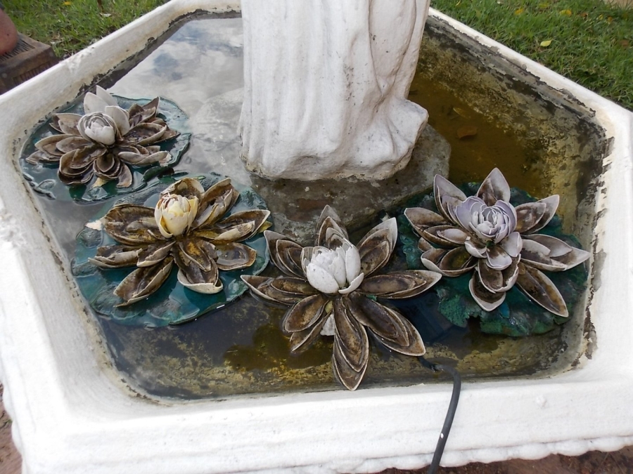 Commercial Property for Sale in Dalmada A H Limpopo